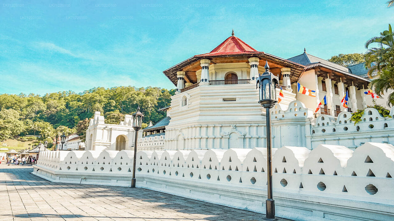 Entreeticket voor Temple of The Sacred Tooth Relic