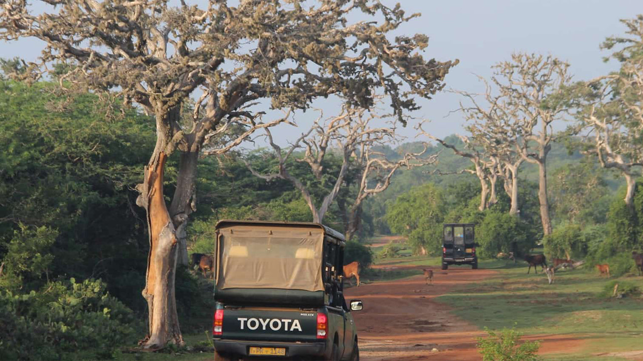 Entreekaartjes voor het Bundala National Park