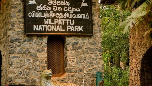 Entreetickets voor het Wilpattu National Park