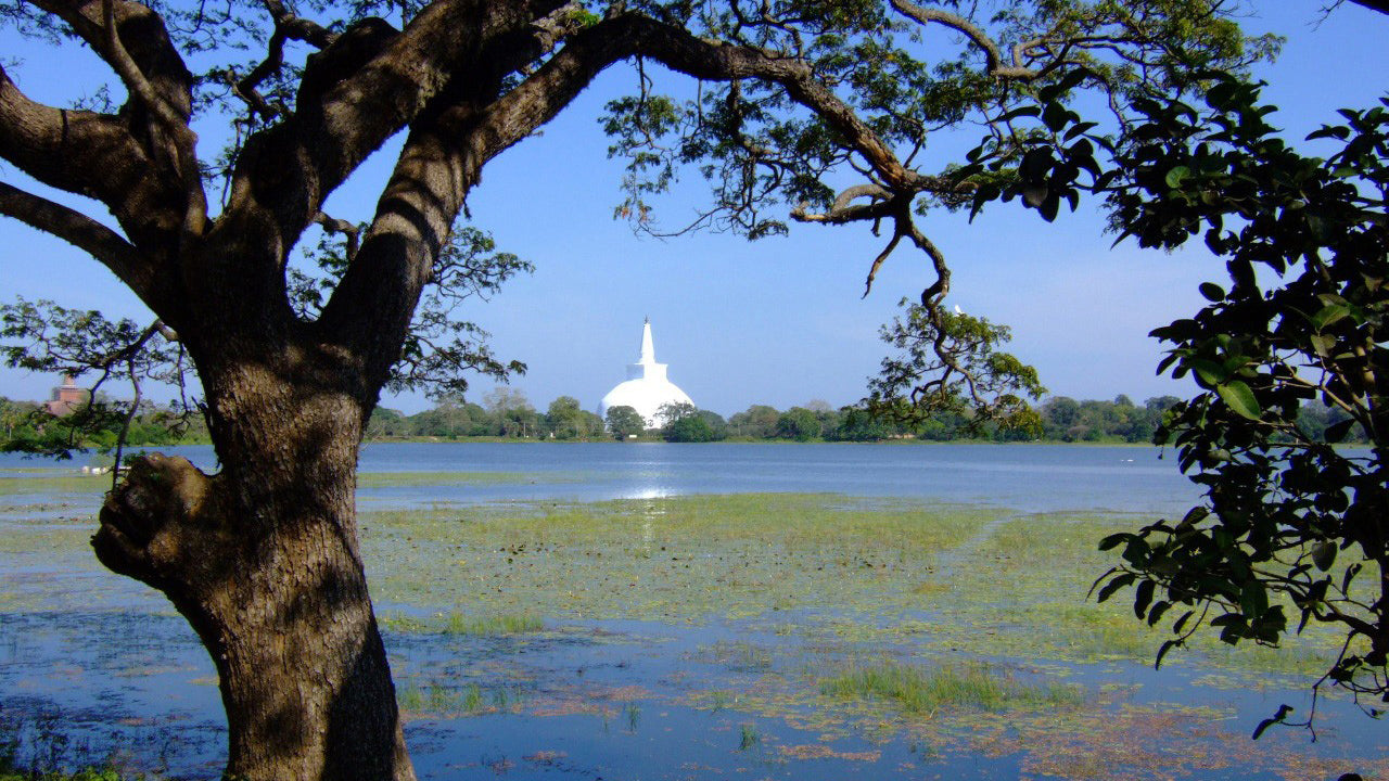 Entreeticket voor de heilige zone van Anuradhapura