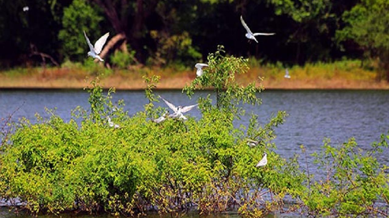 Entreetickets voor het Gal Oya National Park