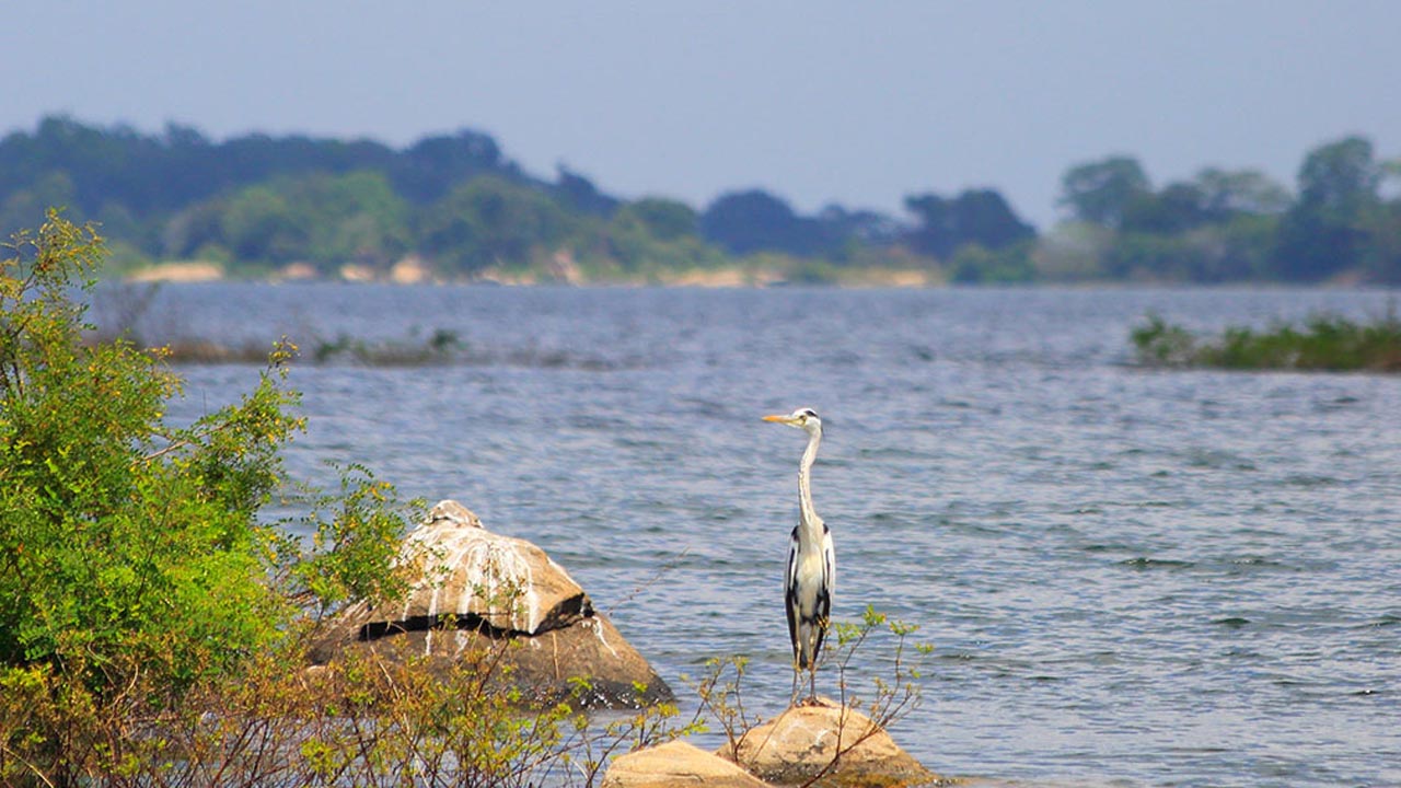 Entreetickets voor het Gal Oya National Park