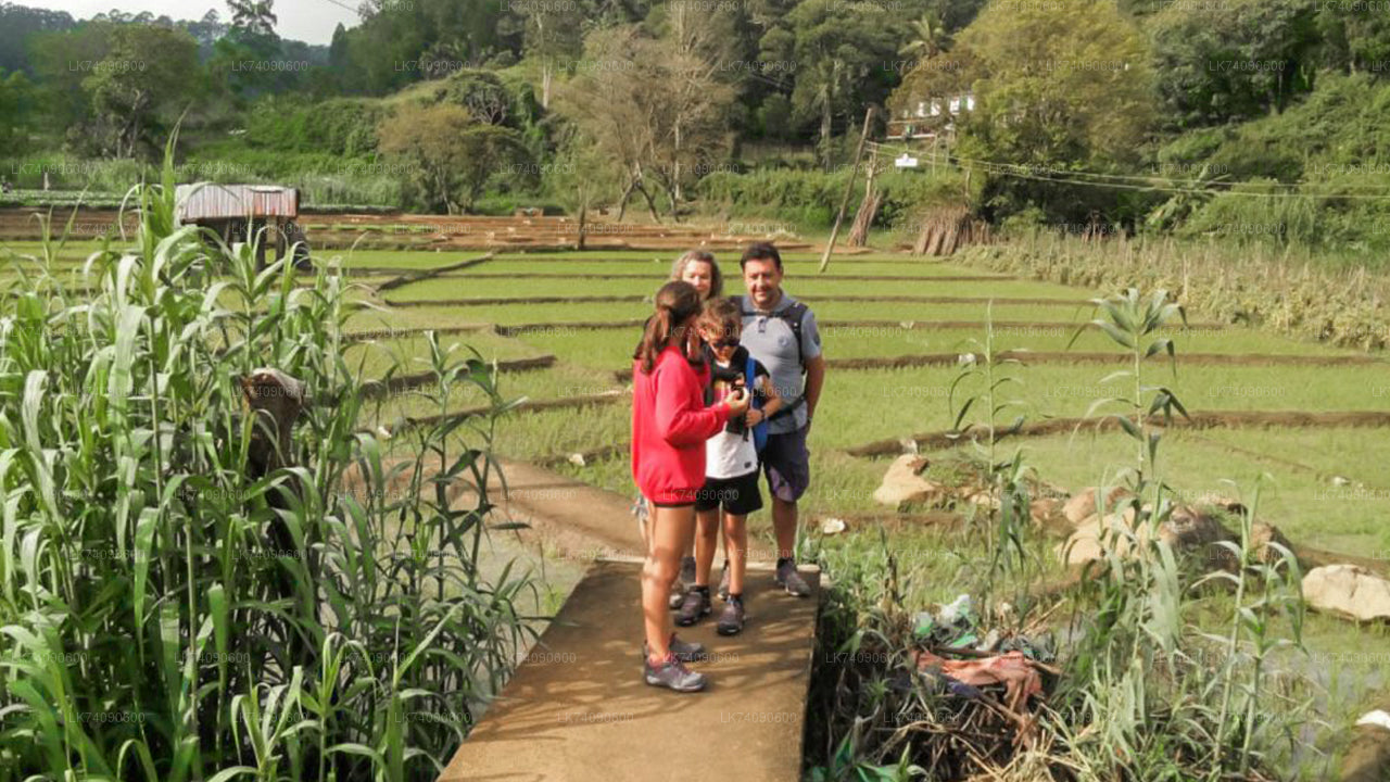 Wandeltocht naar Ella Drie iconen van Ella