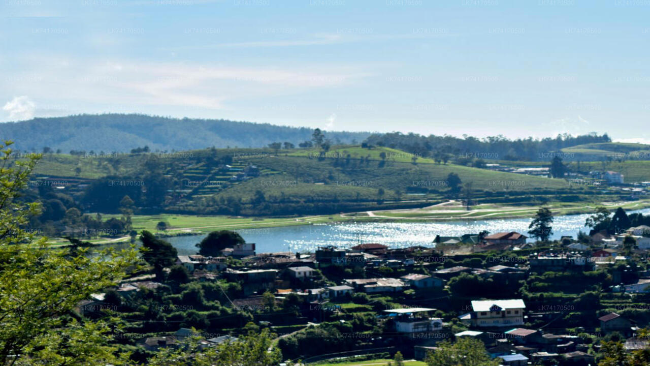 Trekking naar Heeloya Village vanuit Kandy