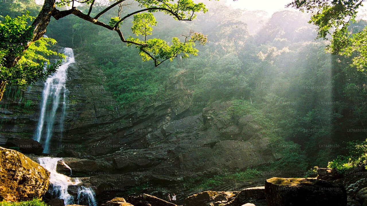Wandeltocht door het Sinharaja regenwoud