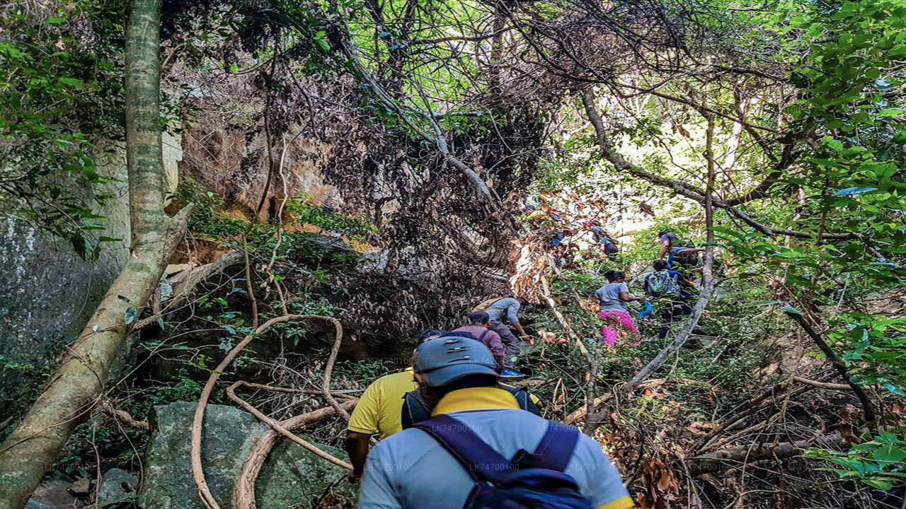 Wandeling naar Danigala Circular Rock vanuit Aaralaganwila