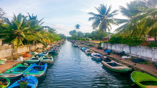 Dutch Canal Boat Tour from Negombo