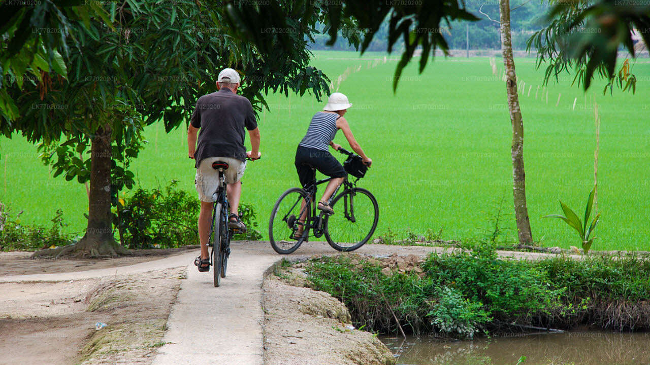 Balana Battlefield-fietstocht vanuit Kandy