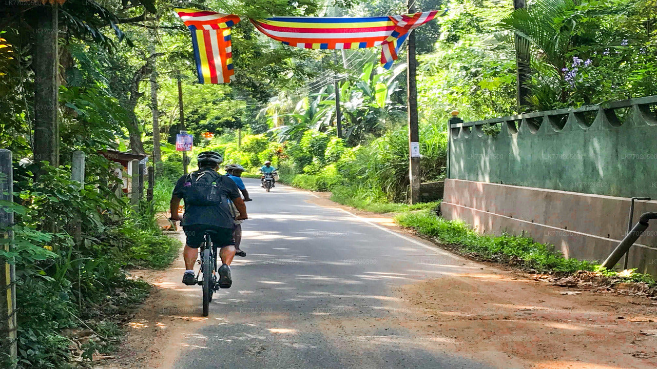 3 Temple Loop-fietstocht vanuit Kandy