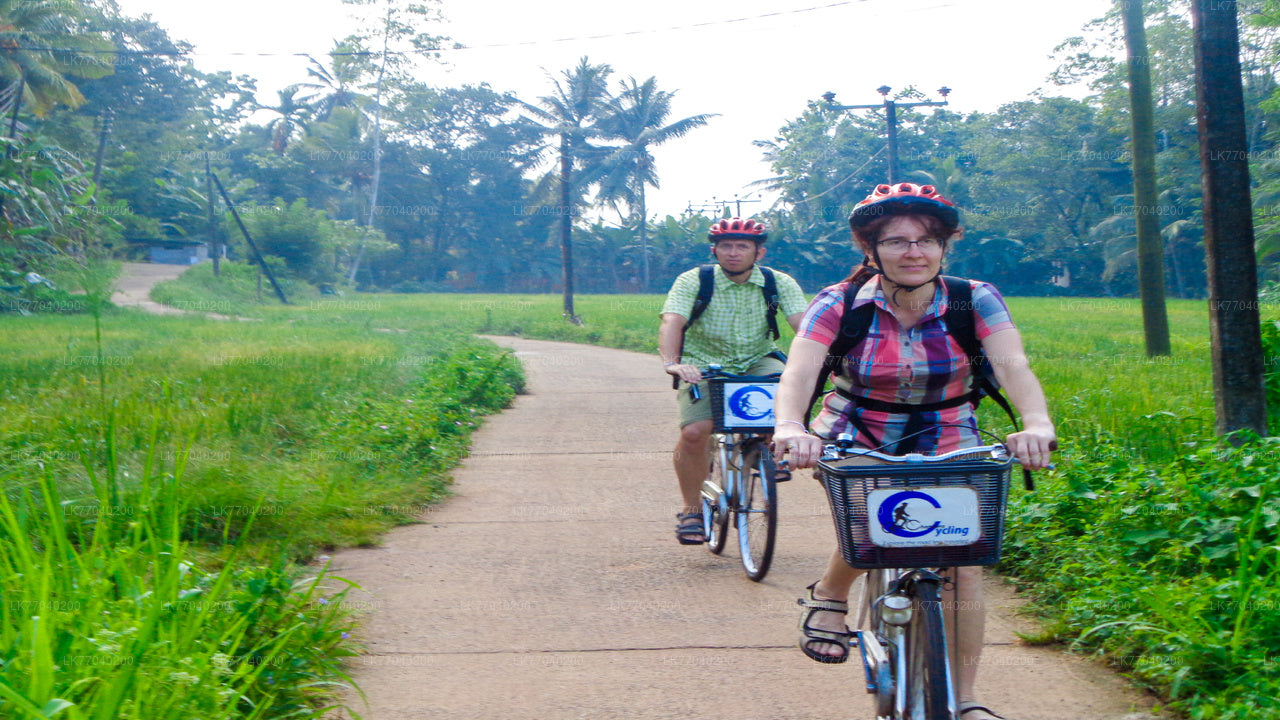 Cycling in Galle Countryside