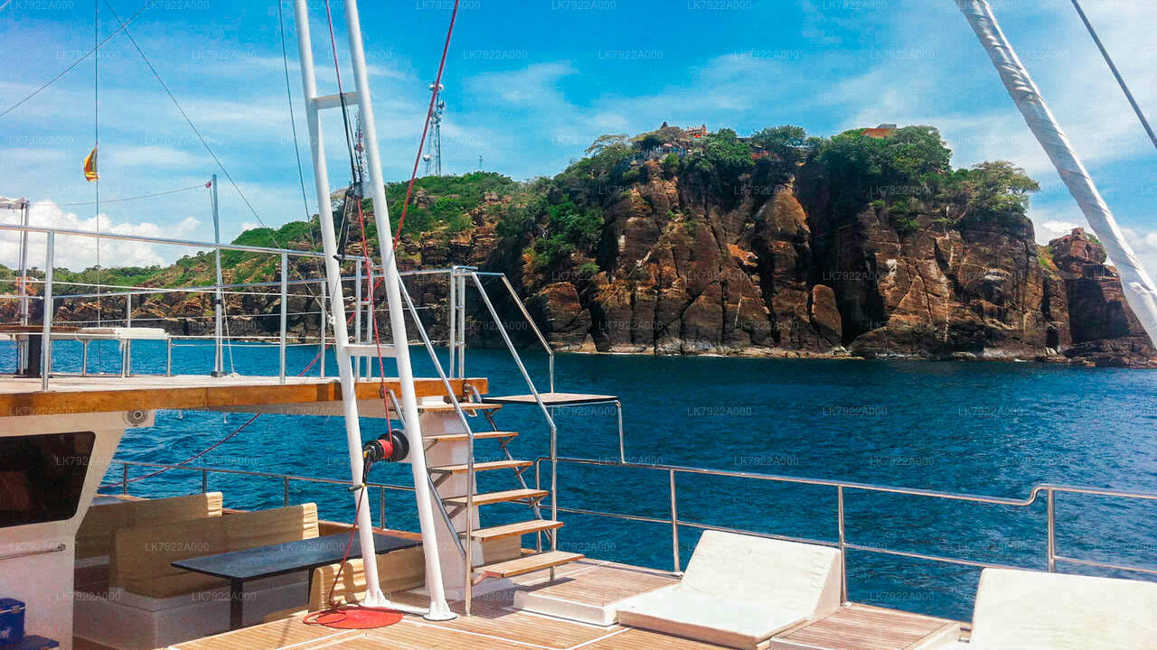 Whale Watching Yacht Tour from Trincomalee