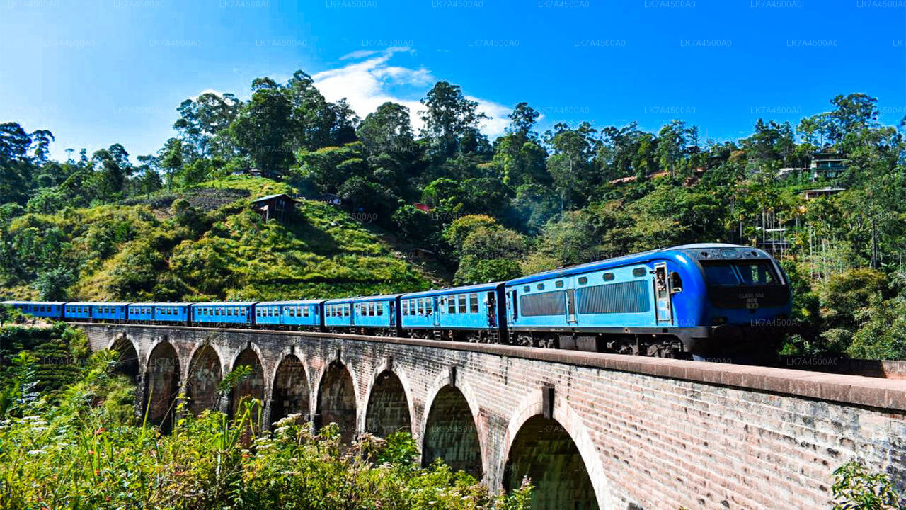 Treinrit van Nanu Oya naar Ella (trein nr.: 1005 „Podi Menike”)