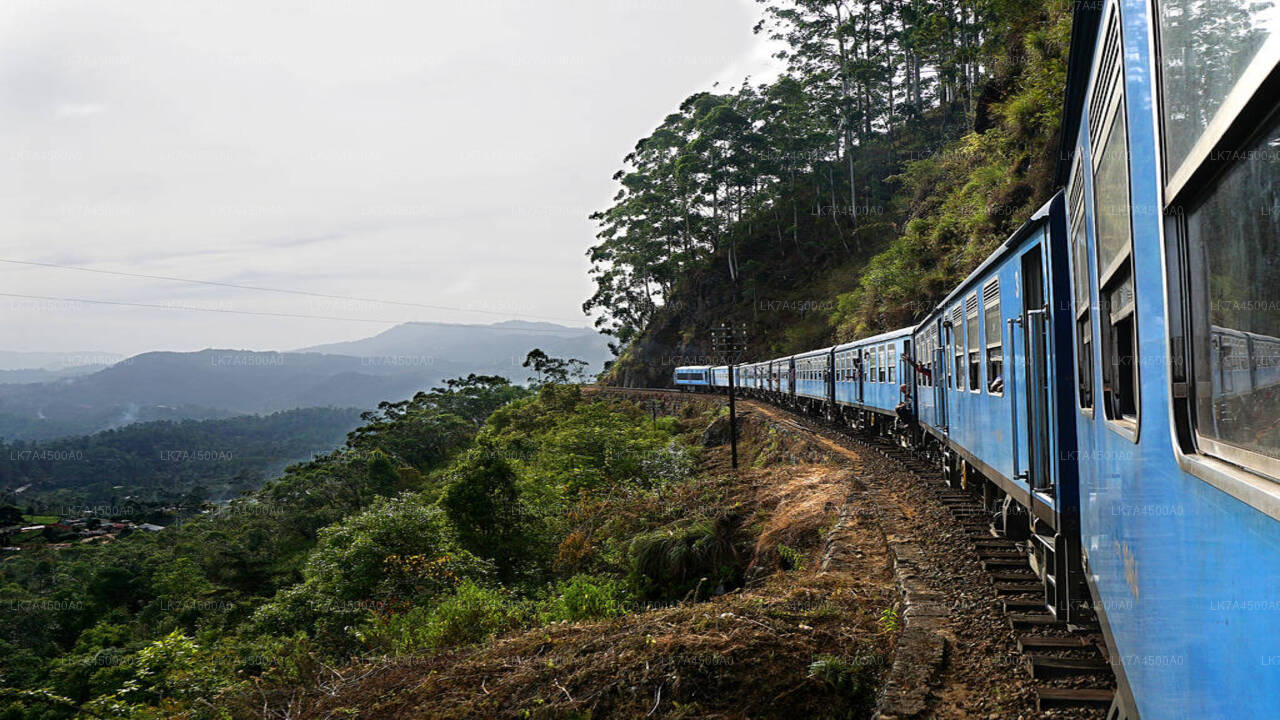 Treinrit van Nanu Oya naar Ella (trein nr.: 1005 „Podi Menike”)