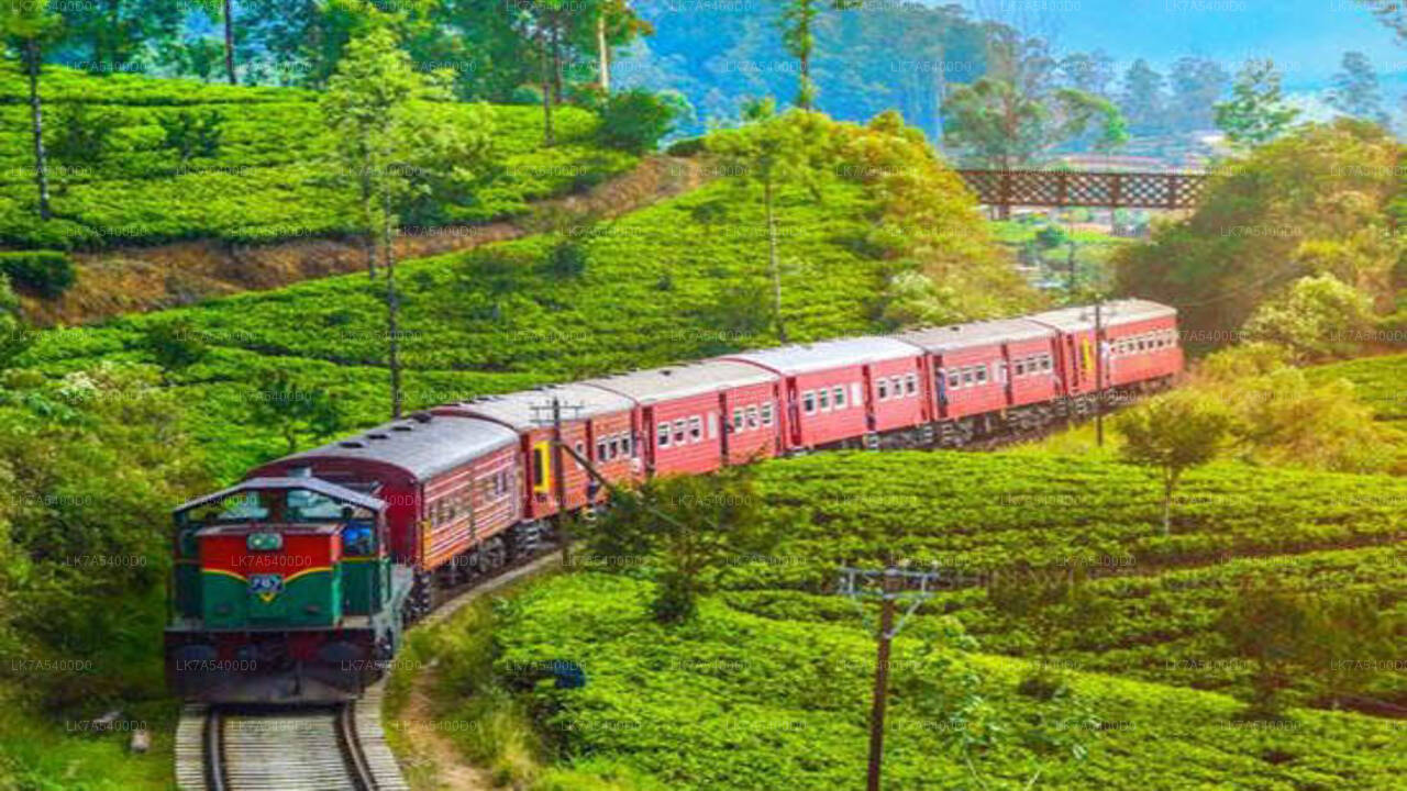 Ella to Nanu Oya train ride on (Train No: 1016 "Udarata Menike")