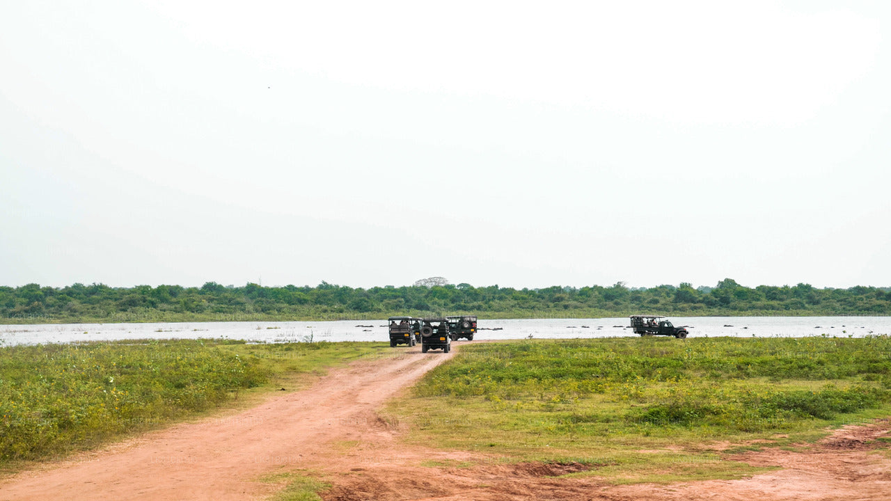 Safari in het nationale park Udawalawe vanuit de haven van Hambantota