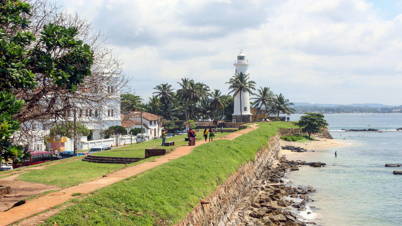 Hoogtepunten aan de zuidkust vanuit de haven van Colombo