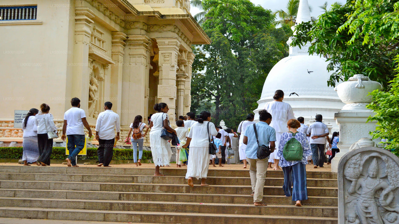 Boeddhistische iconografie-ervaring in Colombo
