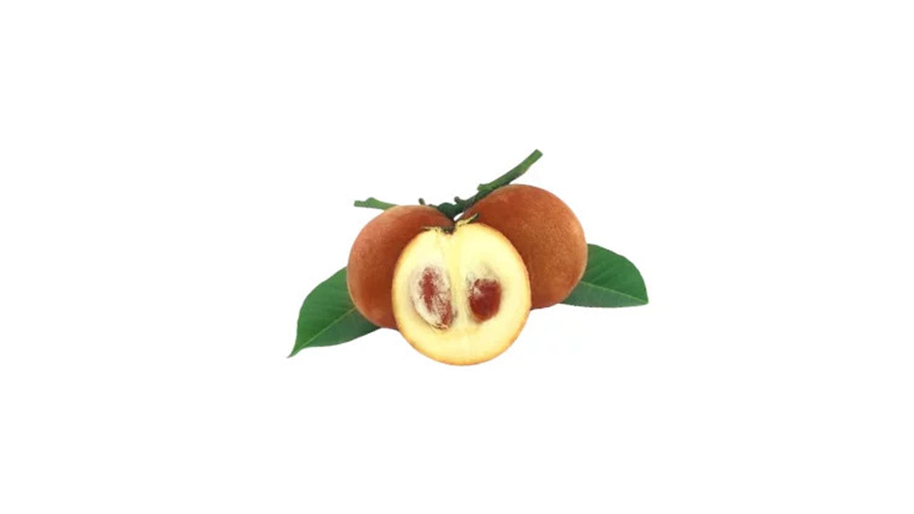 Velvet Apple (වෙල්වට් ඇපල් බද්ධ) Fruit Plant